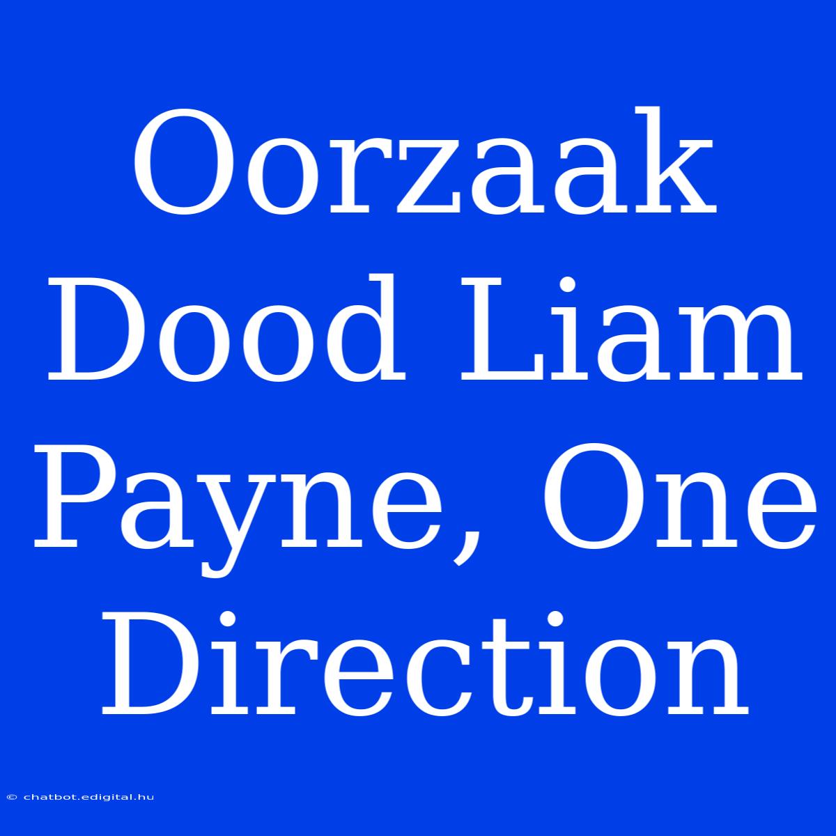 Oorzaak Dood Liam Payne, One Direction