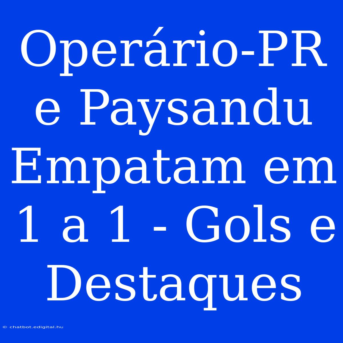 Operário-PR E Paysandu Empatam Em 1 A 1 - Gols E Destaques