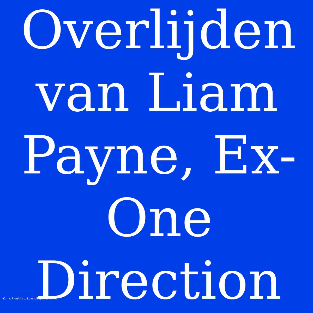 Overlijden Van Liam Payne, Ex-One Direction