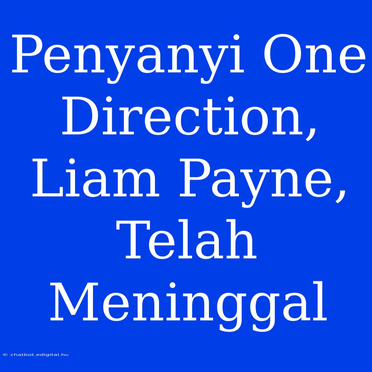 Penyanyi One Direction, Liam Payne, Telah Meninggal