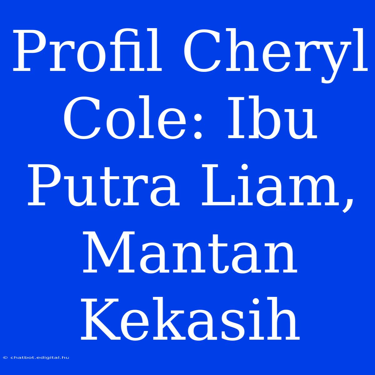 Profil Cheryl Cole: Ibu Putra Liam, Mantan Kekasih