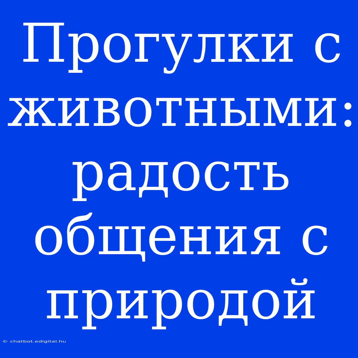 Прогулки С Животными: Радость Общения С Природой