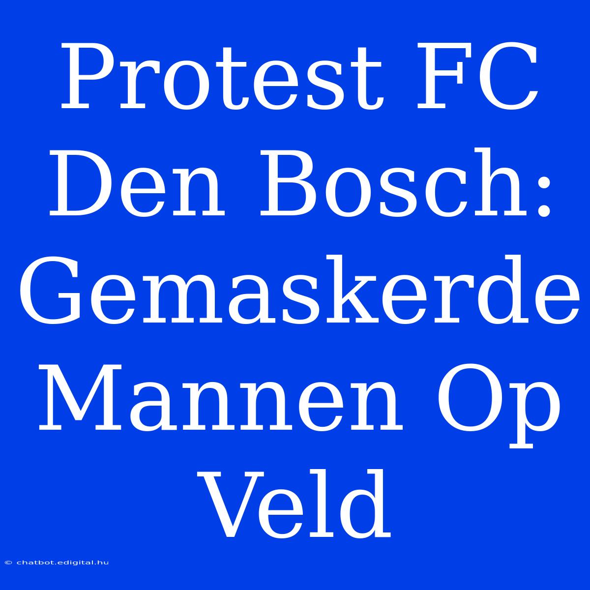 Protest FC Den Bosch: Gemaskerde Mannen Op Veld