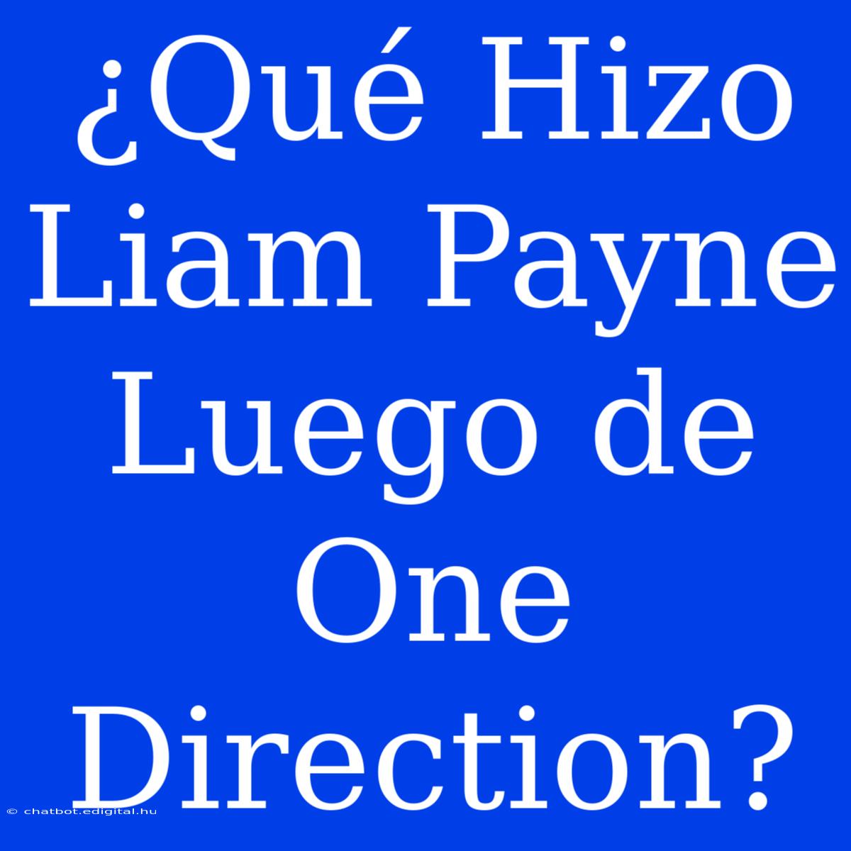 ¿Qué Hizo Liam Payne Luego De One Direction?