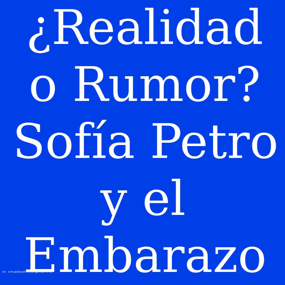 ¿Realidad O Rumor? Sofía Petro Y El Embarazo