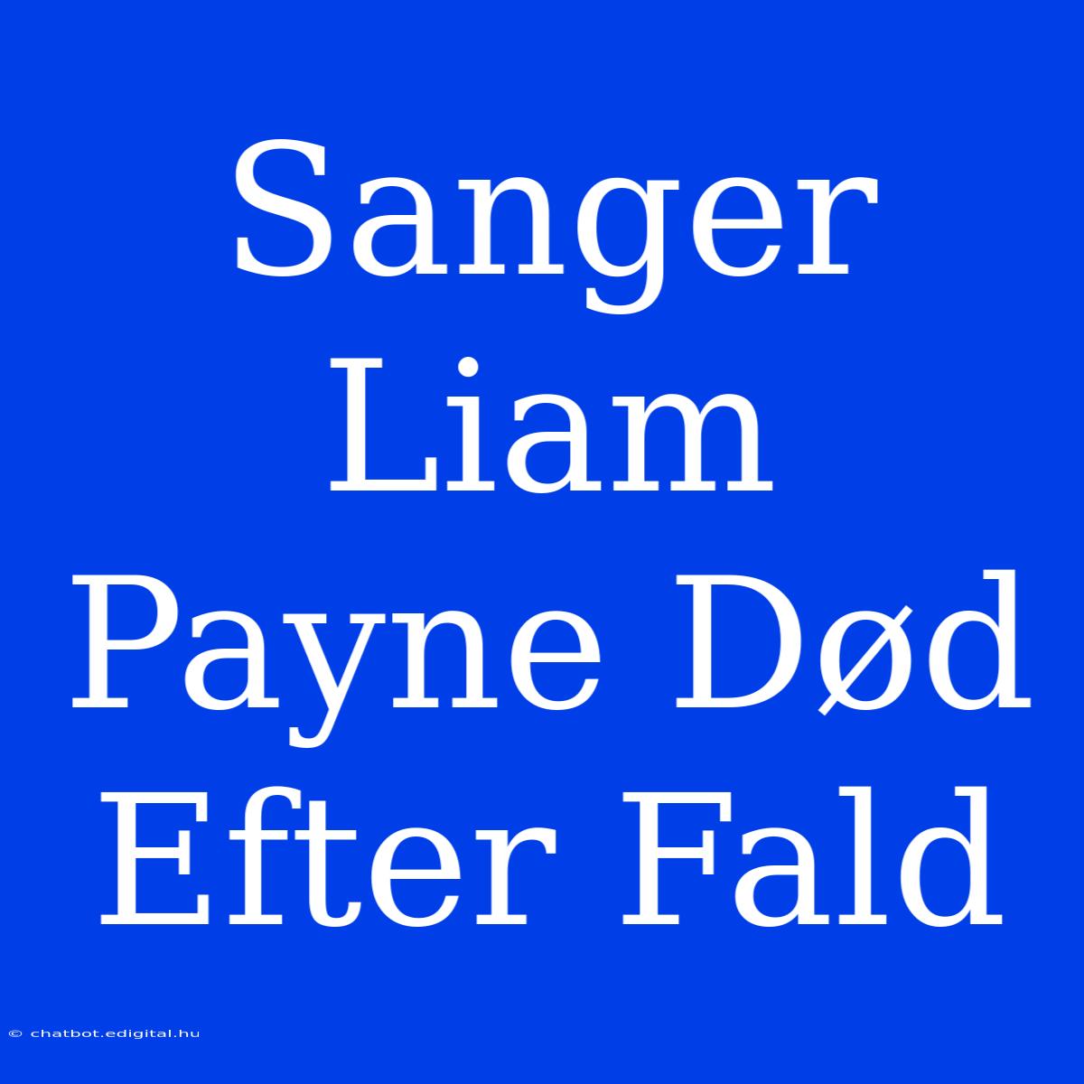 Sanger Liam Payne Død Efter Fald