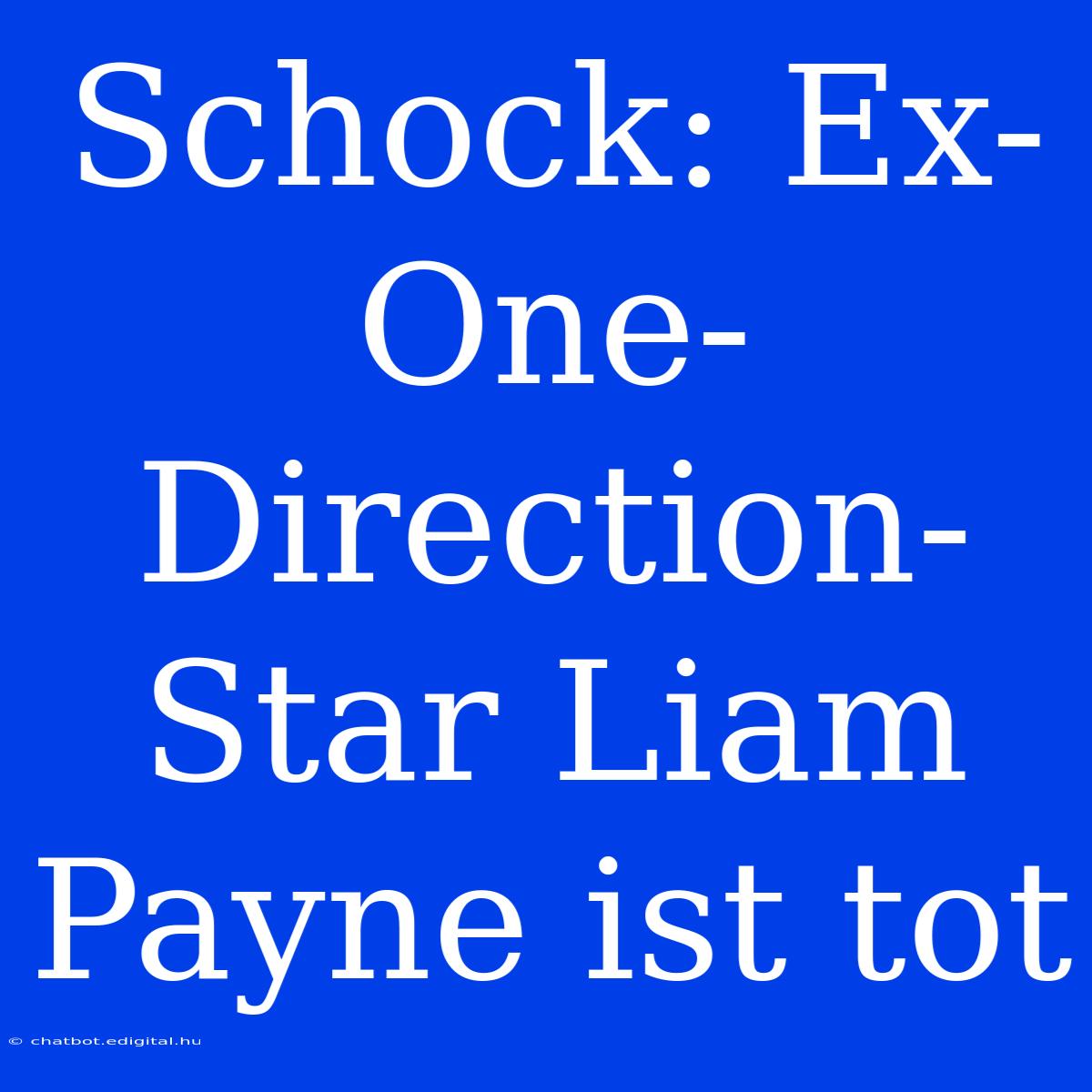 Schock: Ex-One-Direction-Star Liam Payne Ist Tot