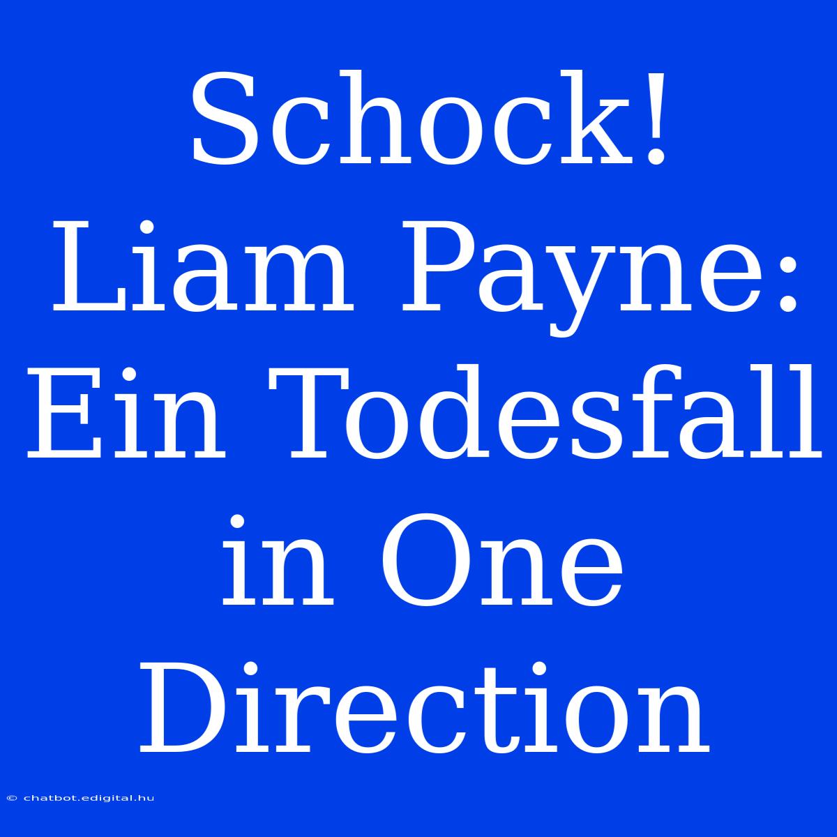 Schock! Liam Payne: Ein Todesfall In One Direction