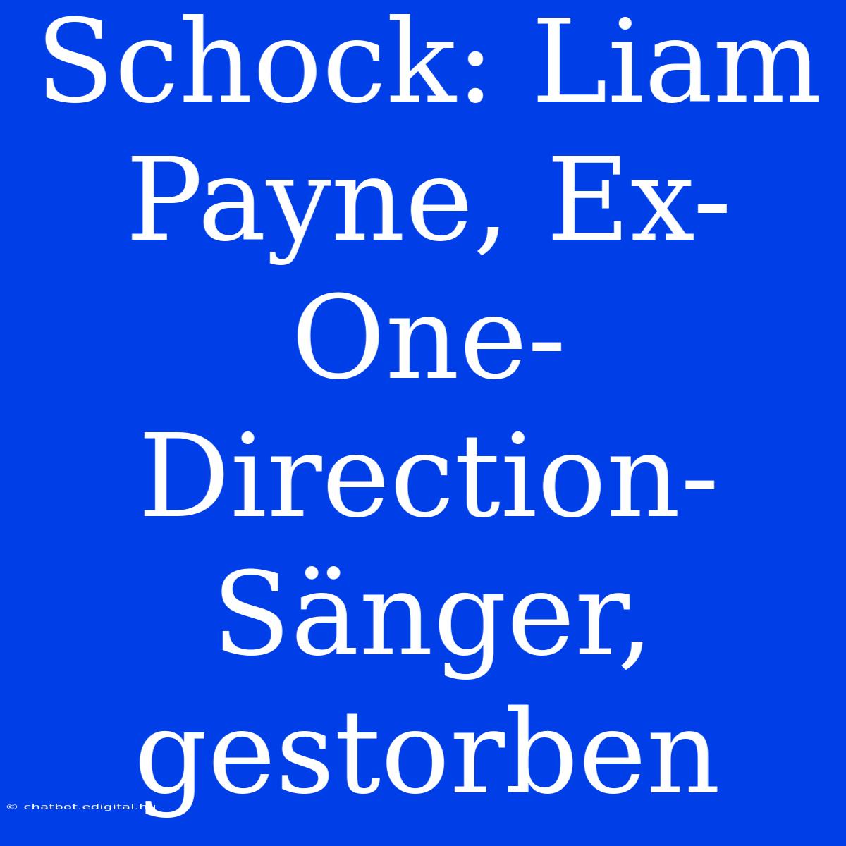 Schock: Liam Payne, Ex-One-Direction-Sänger, Gestorben