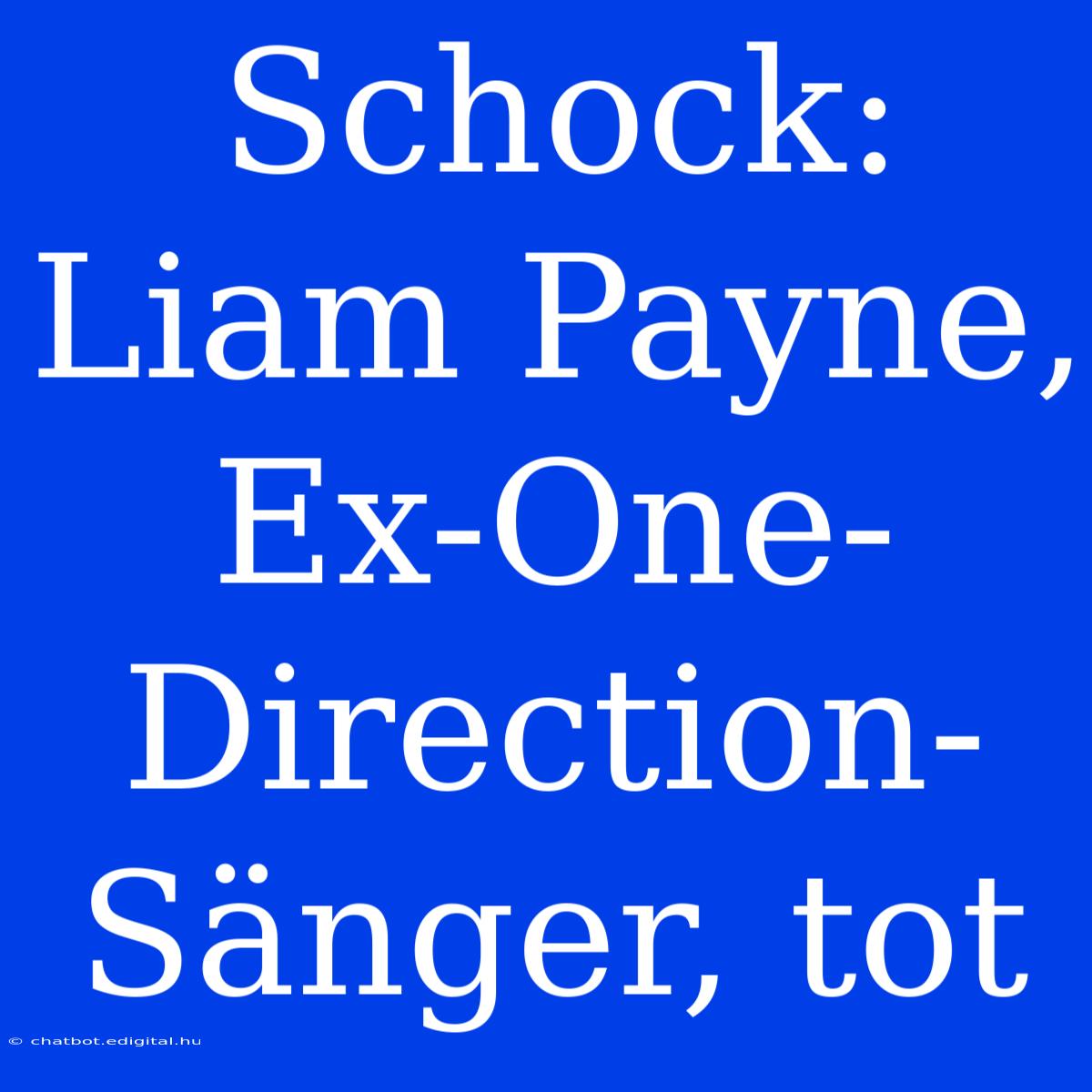 Schock: Liam Payne, Ex-One-Direction-Sänger, Tot