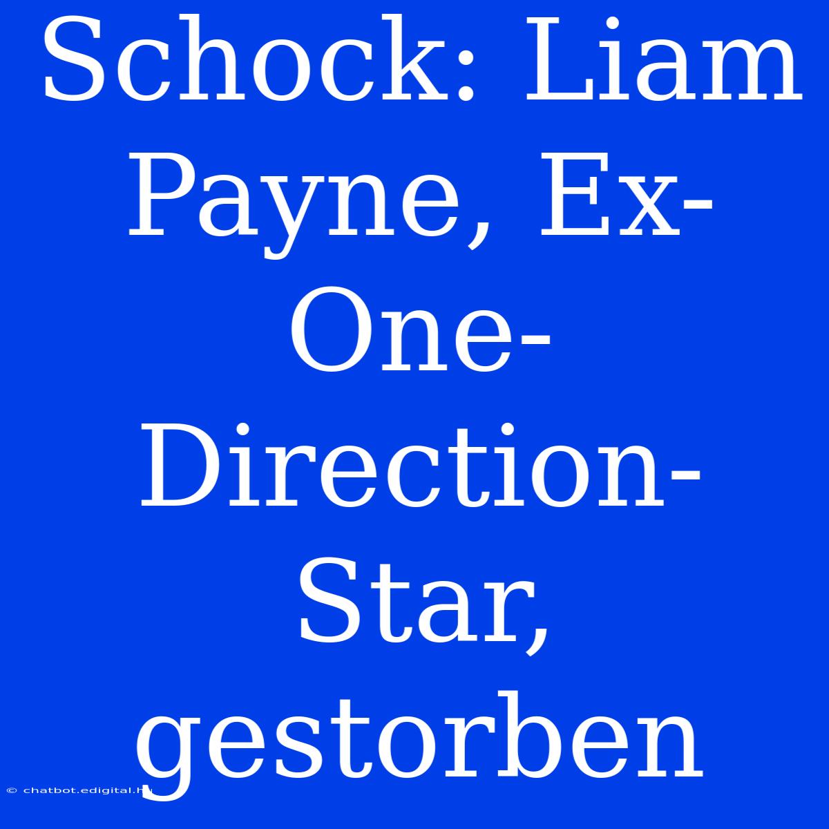 Schock: Liam Payne, Ex-One-Direction-Star, Gestorben