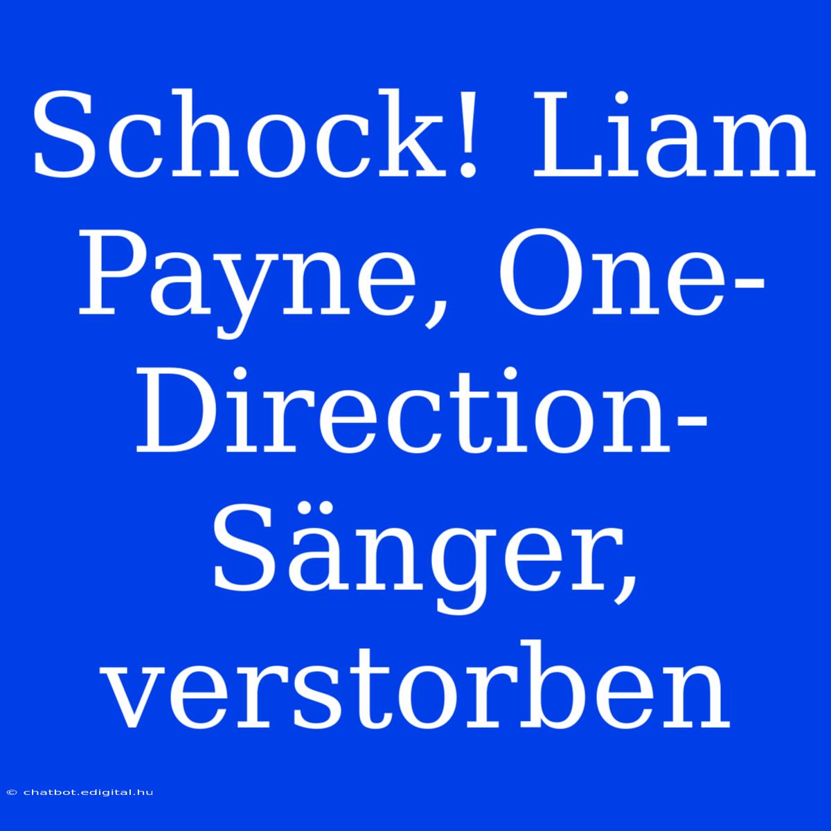 Schock! Liam Payne, One-Direction-Sänger, Verstorben