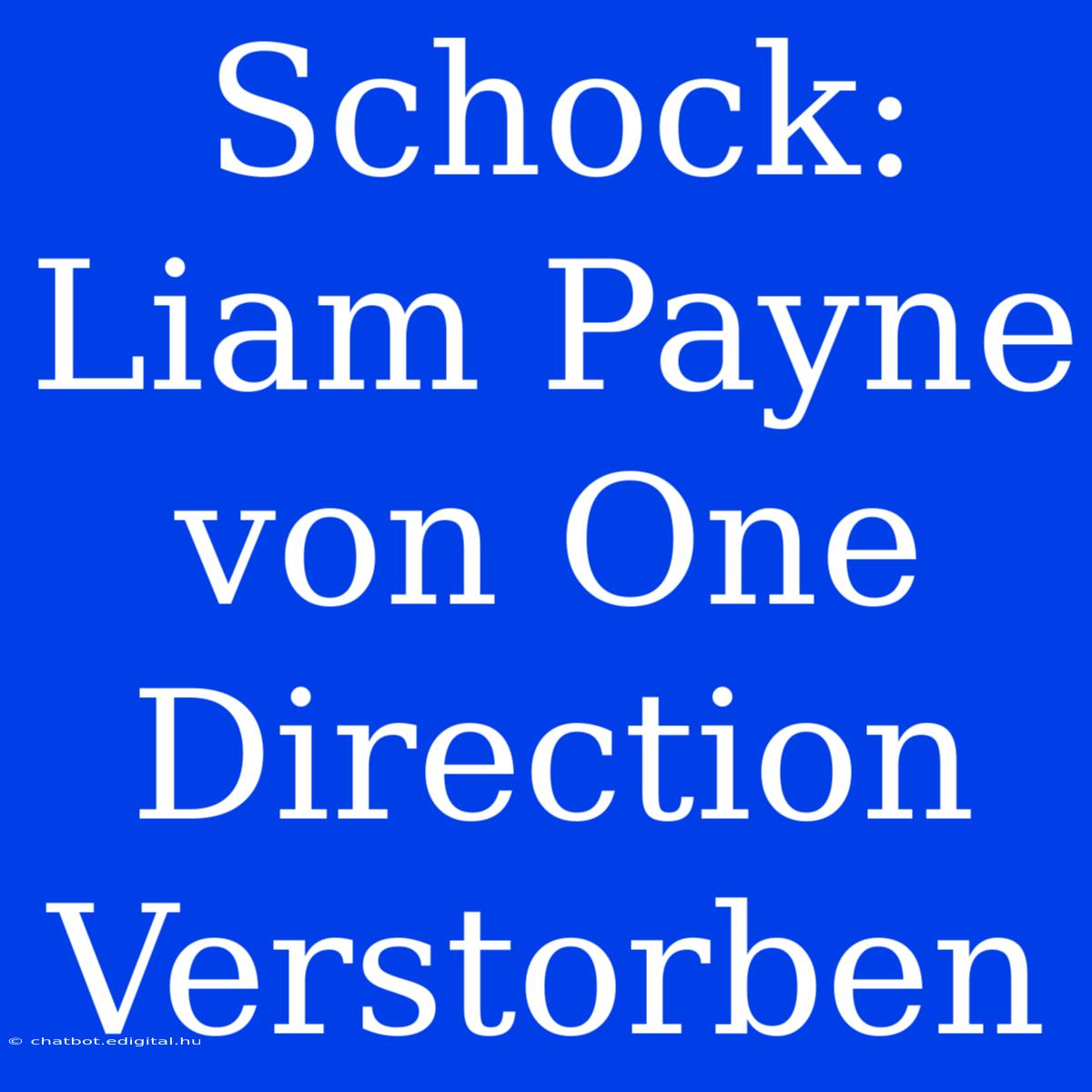 Schock: Liam Payne Von One Direction Verstorben