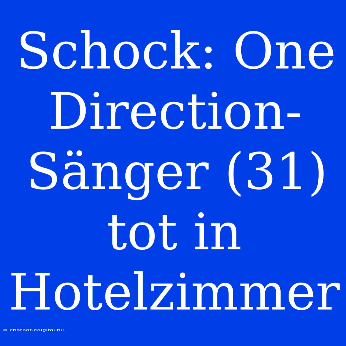 Schock: One Direction-Sänger (31) Tot In Hotelzimmer