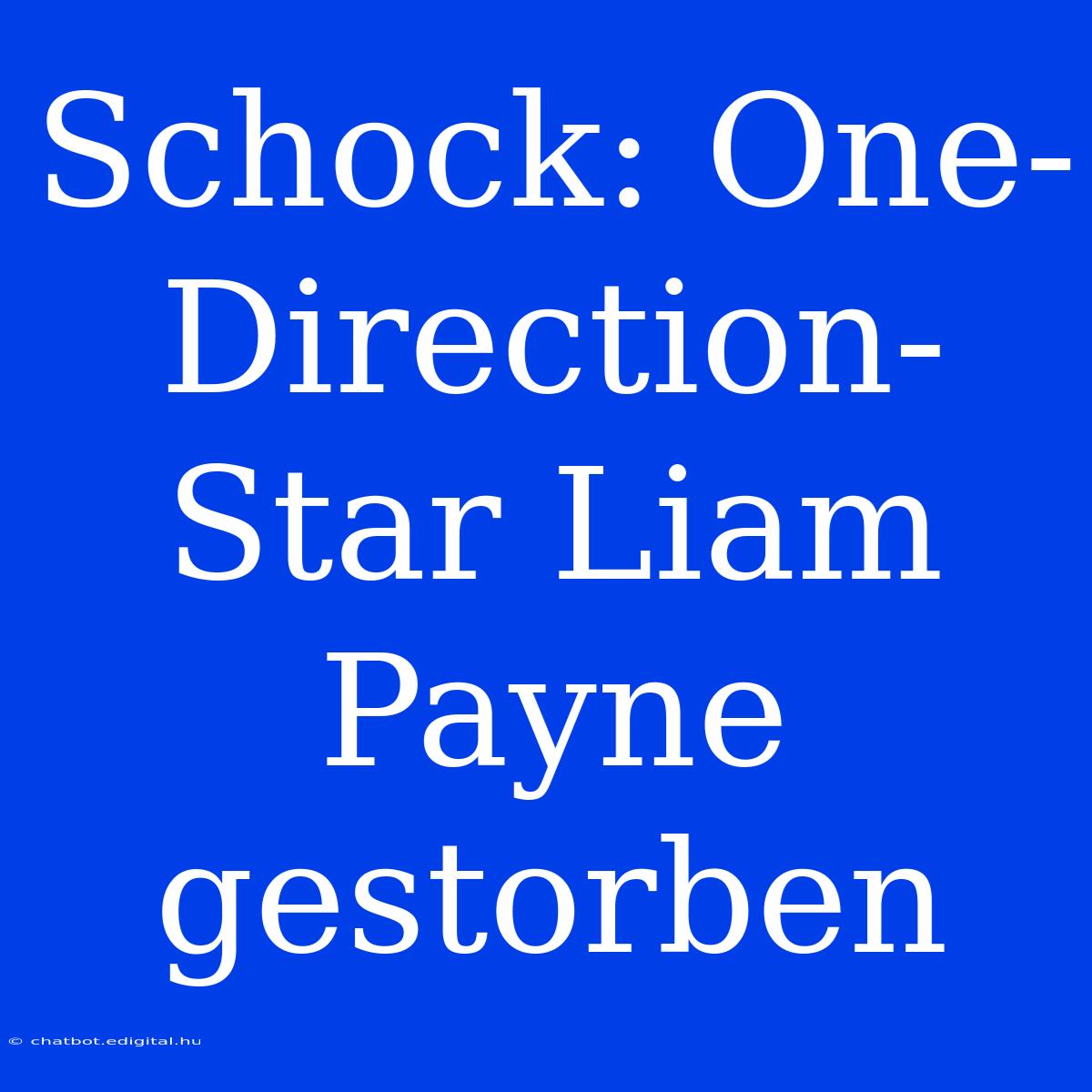 Schock: One-Direction-Star Liam Payne Gestorben 