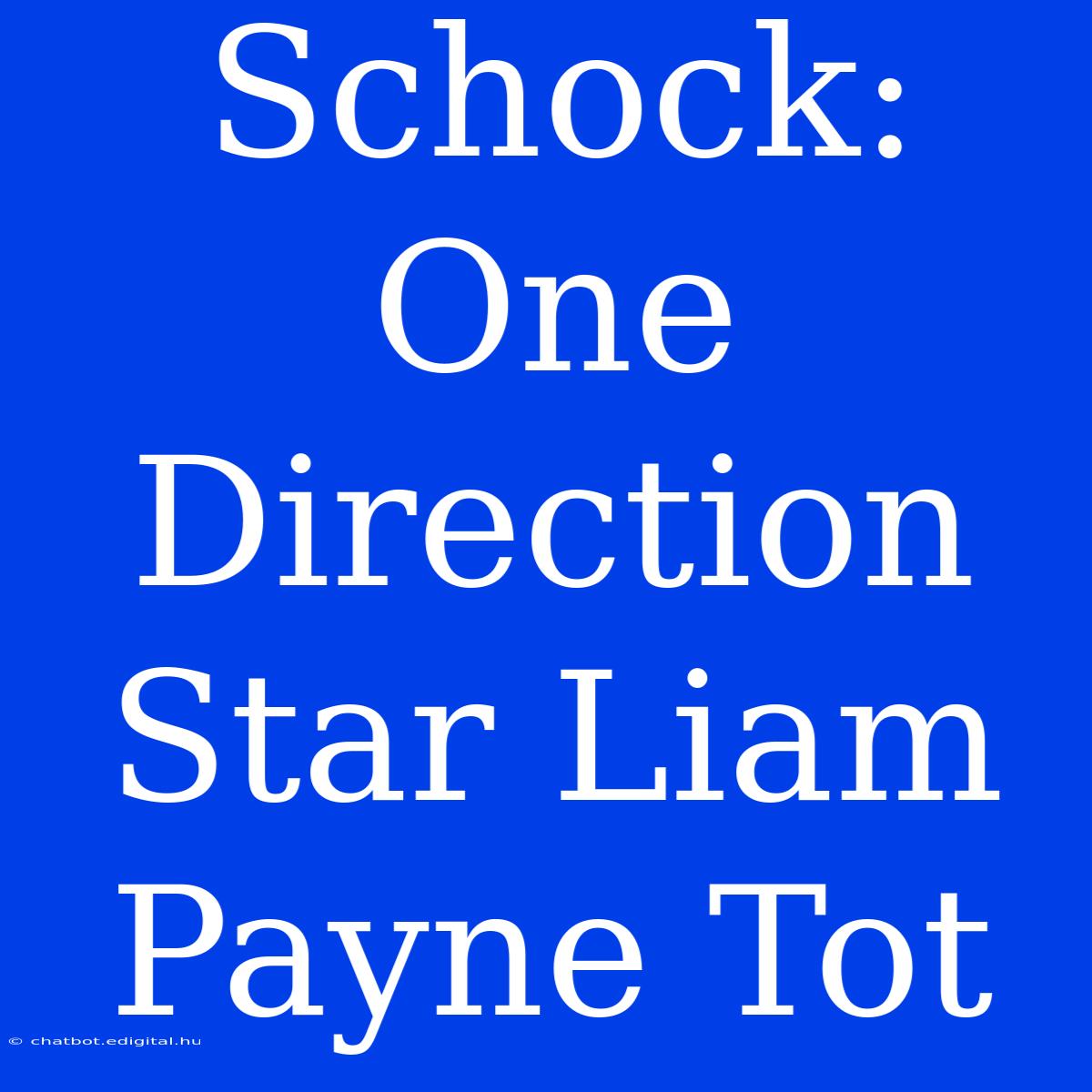 Schock: One Direction Star Liam Payne Tot