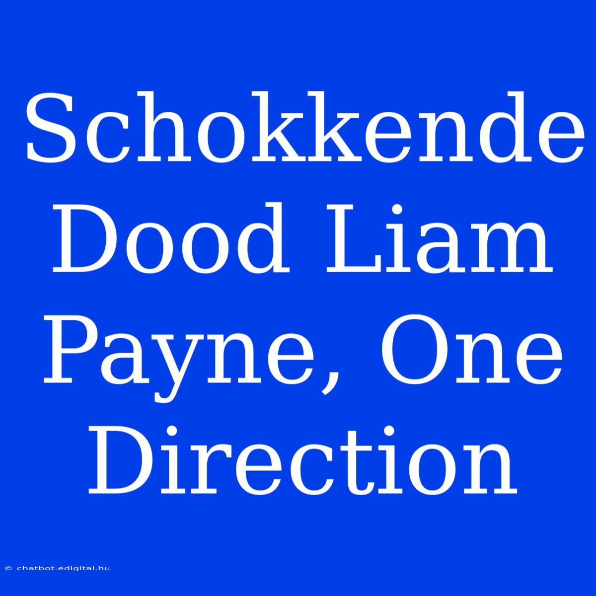 Schokkende Dood Liam Payne, One Direction