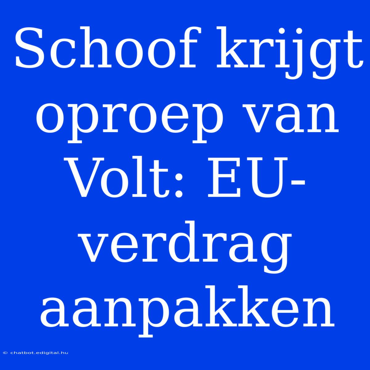 Schoof Krijgt Oproep Van Volt: EU-verdrag Aanpakken