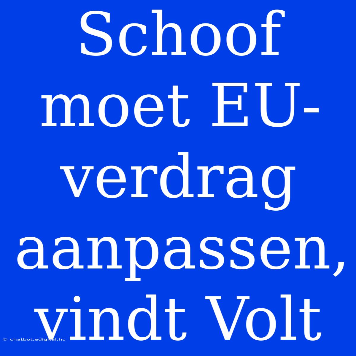 Schoof Moet EU-verdrag Aanpassen, Vindt Volt