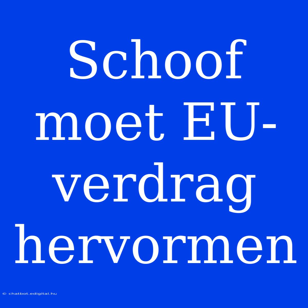 Schoof Moet EU-verdrag Hervormen