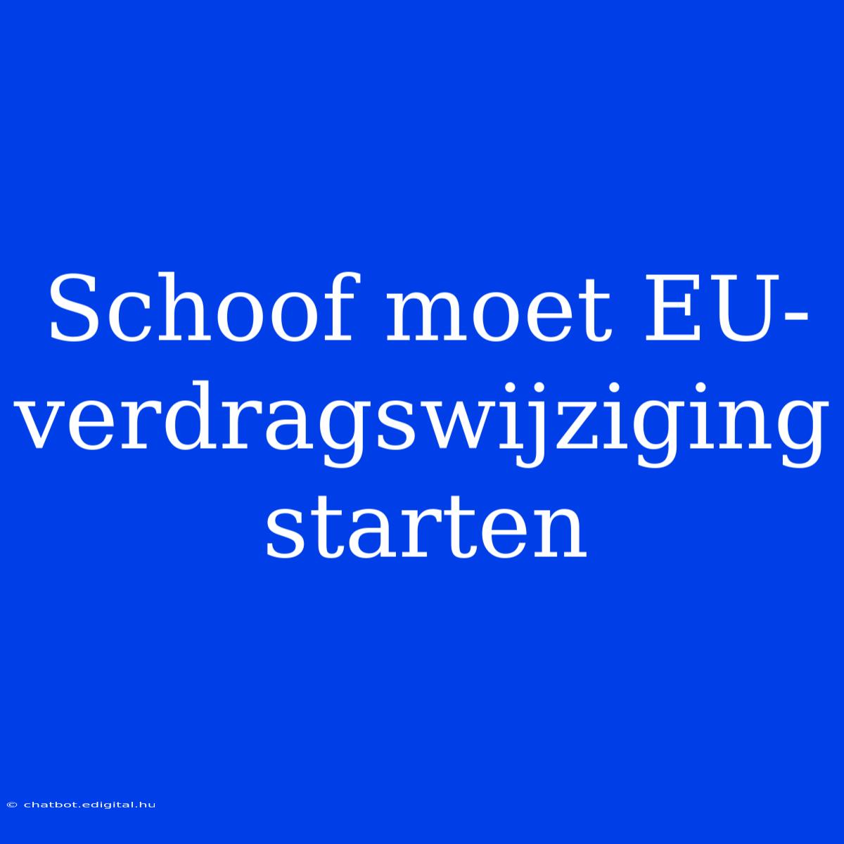 Schoof Moet EU-verdragswijziging Starten