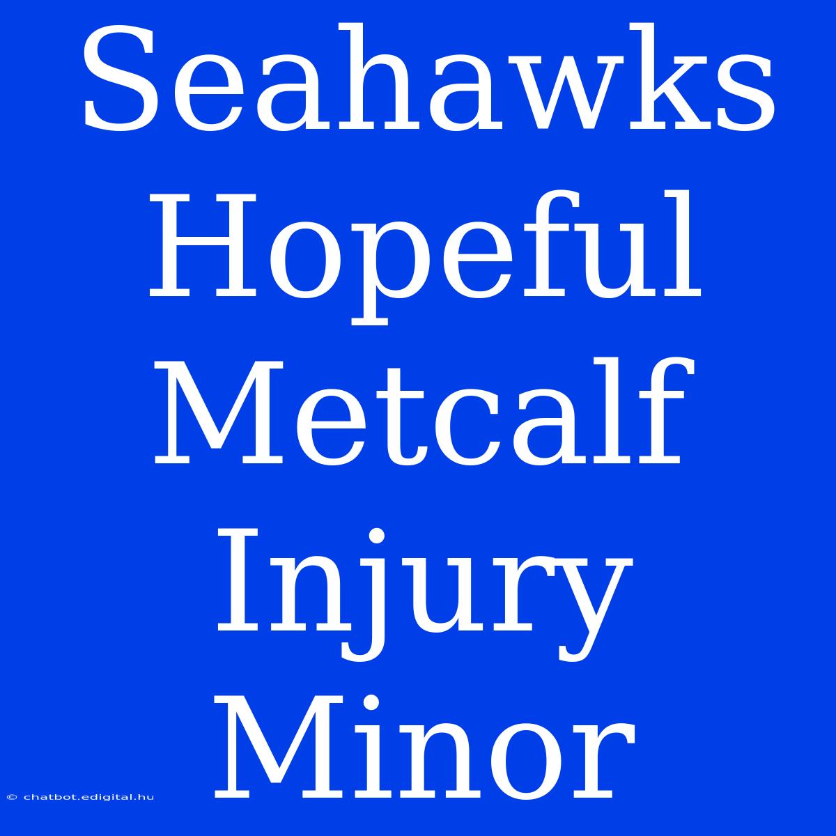 Seahawks Hopeful Metcalf Injury Minor