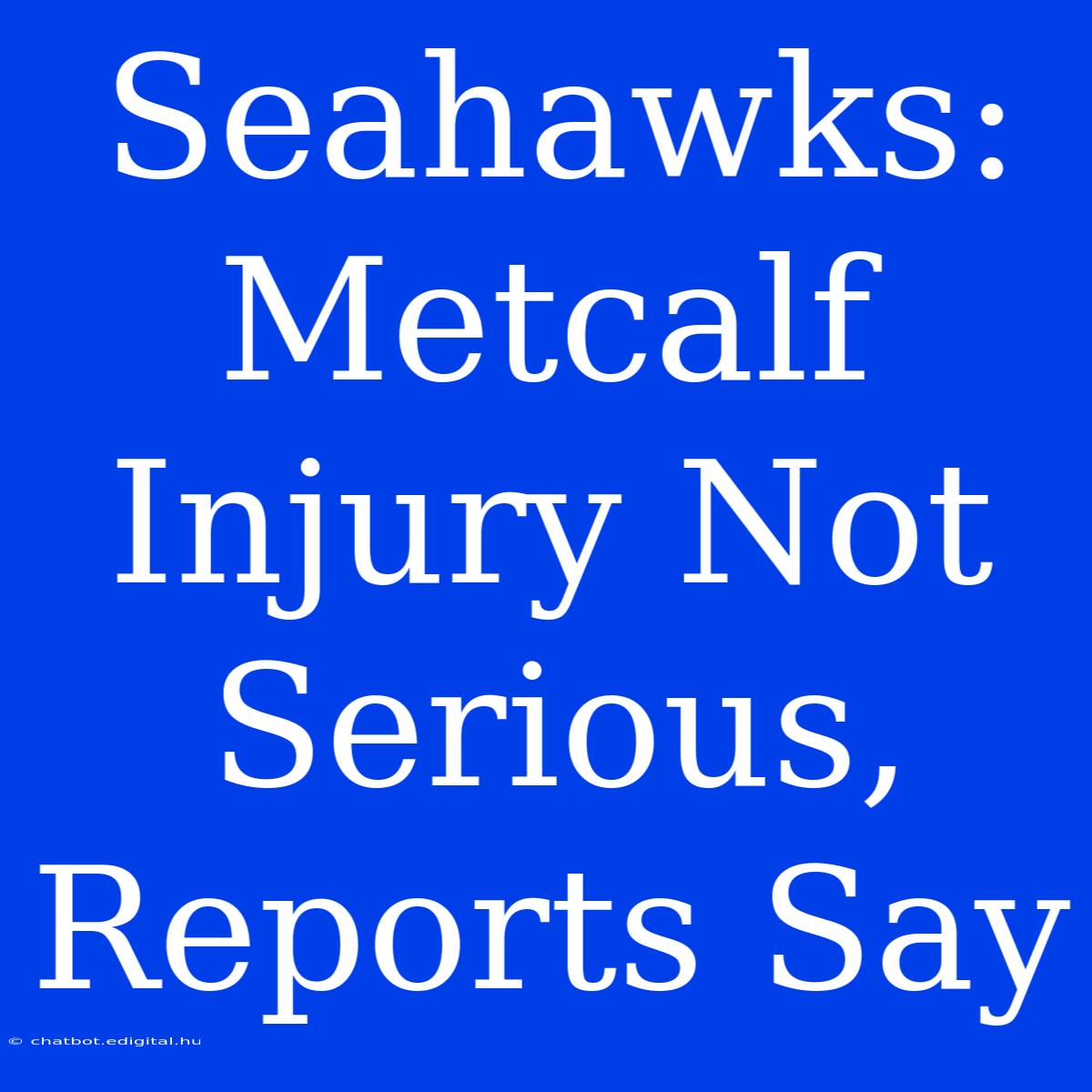 Seahawks: Metcalf Injury Not Serious, Reports Say