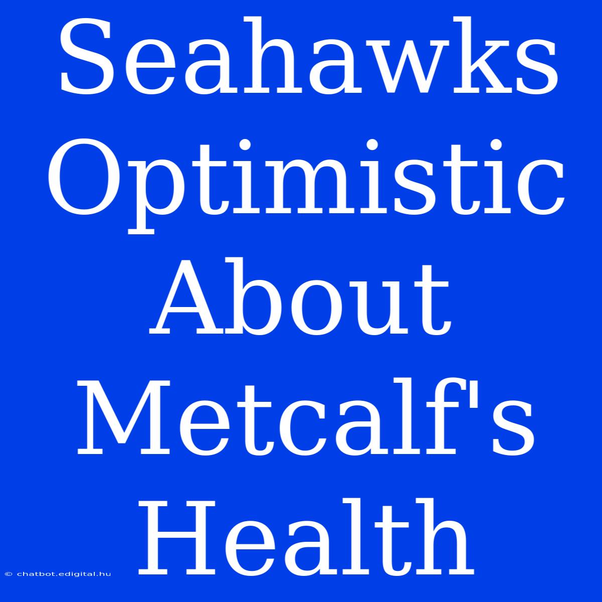 Seahawks Optimistic About Metcalf's Health 