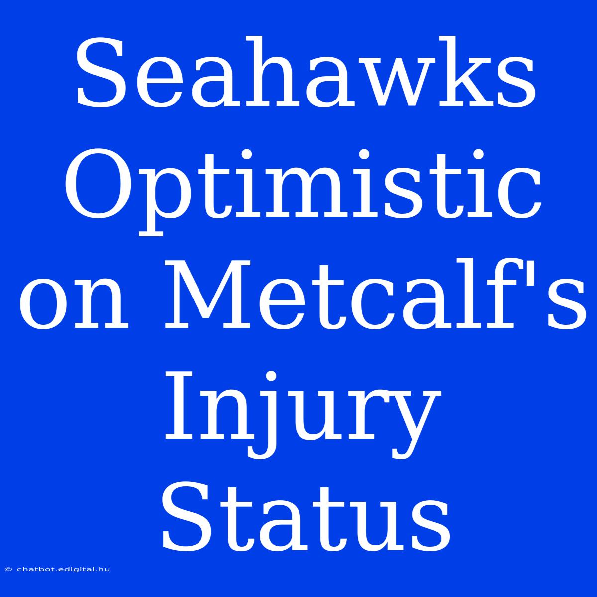 Seahawks Optimistic On Metcalf's Injury Status