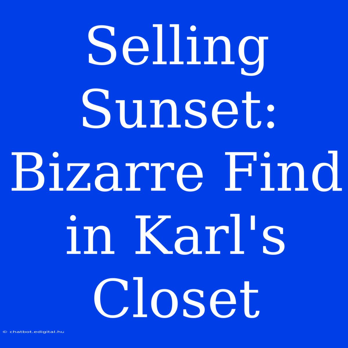 Selling Sunset: Bizarre Find In Karl's Closet