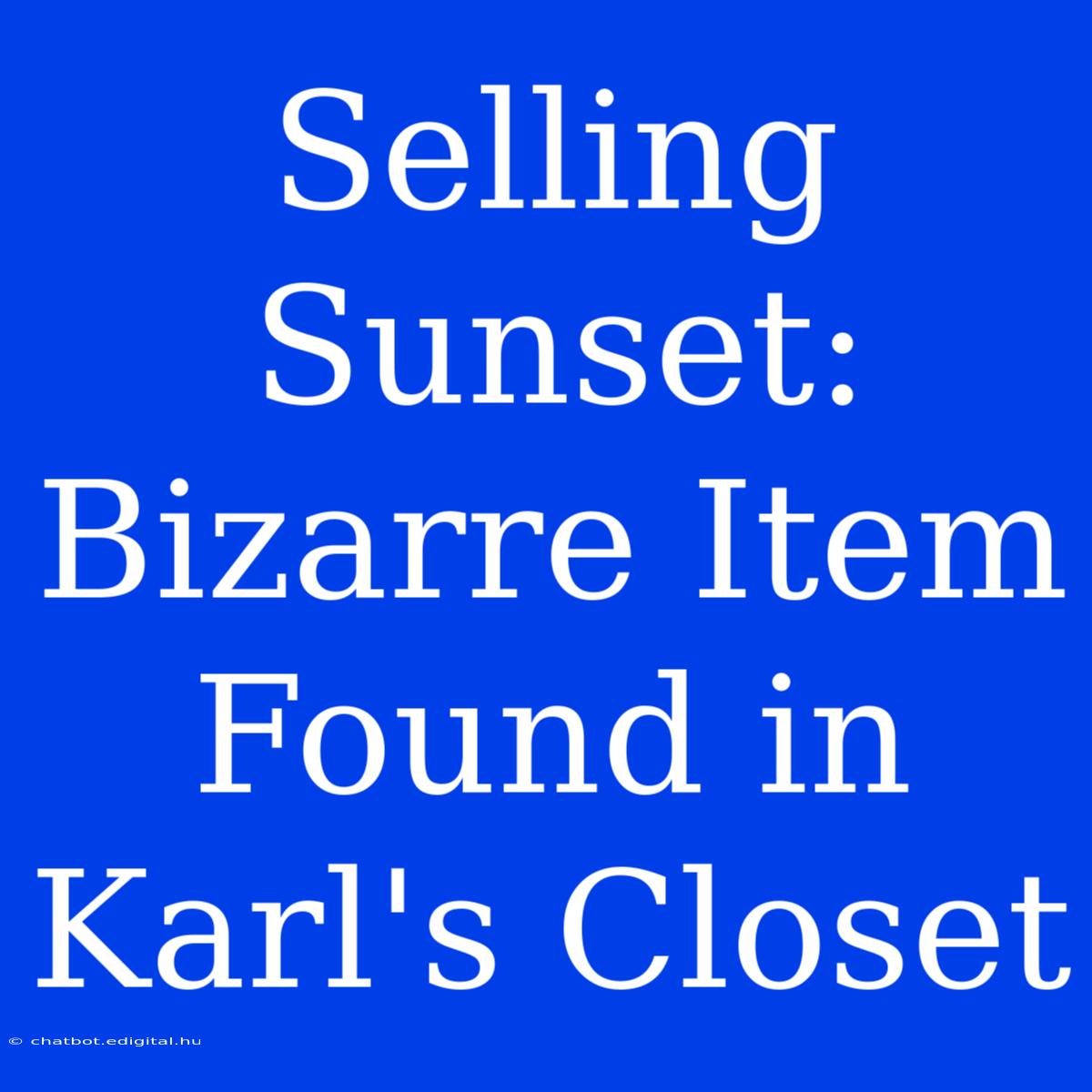 Selling Sunset:  Bizarre Item Found In Karl's Closet