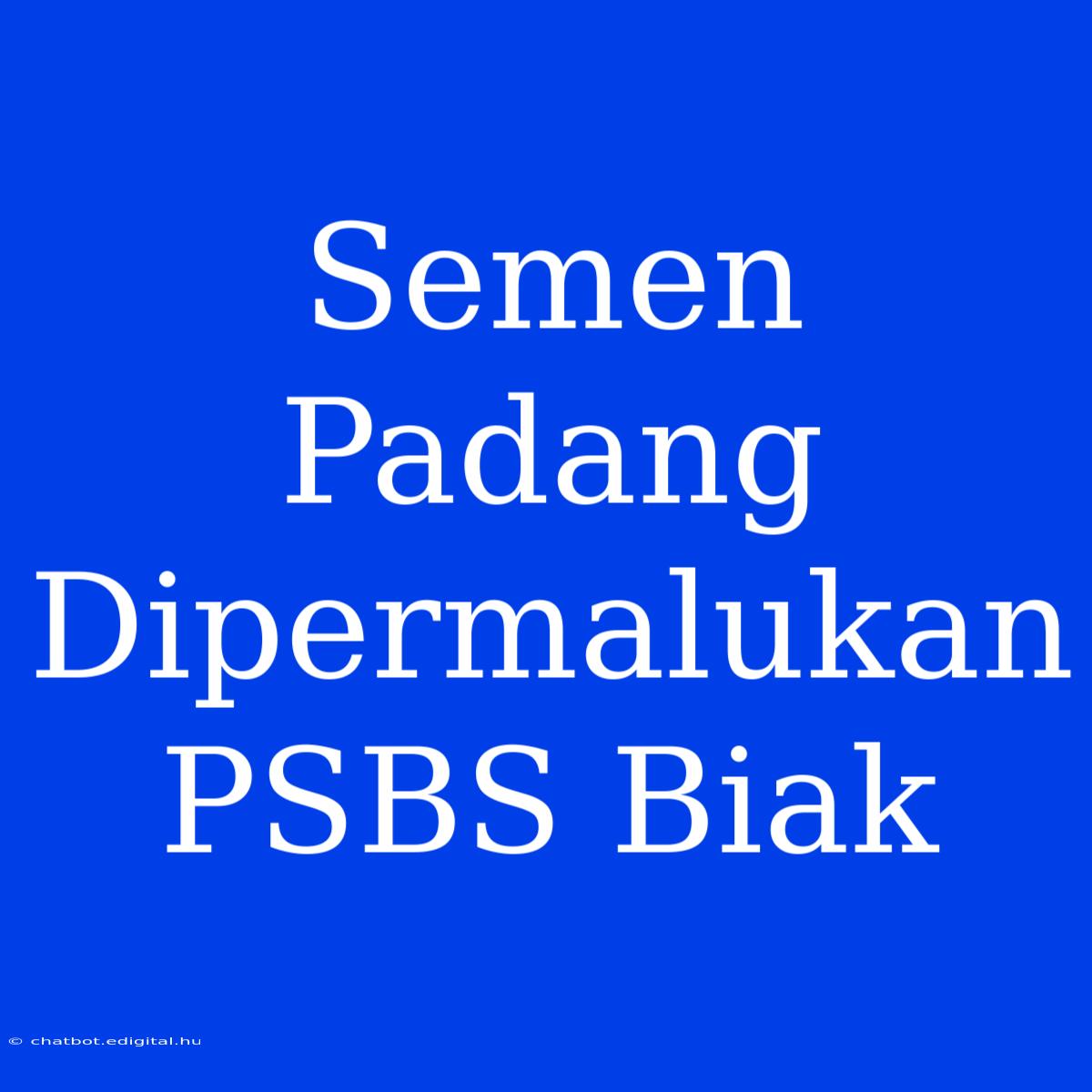 Semen Padang Dipermalukan PSBS Biak 