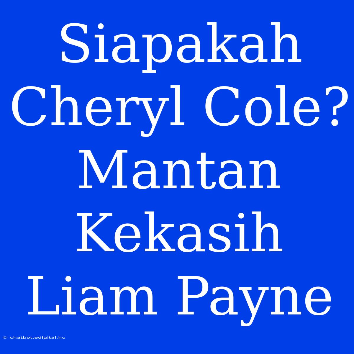 Siapakah Cheryl Cole? Mantan Kekasih Liam Payne