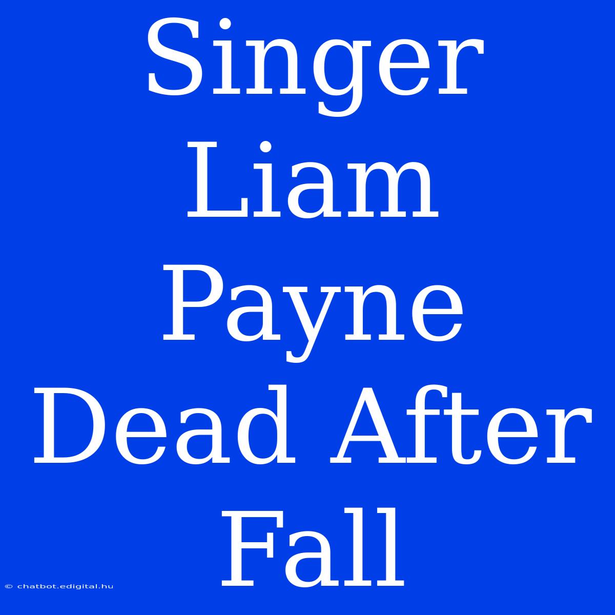 Singer Liam Payne Dead After Fall 