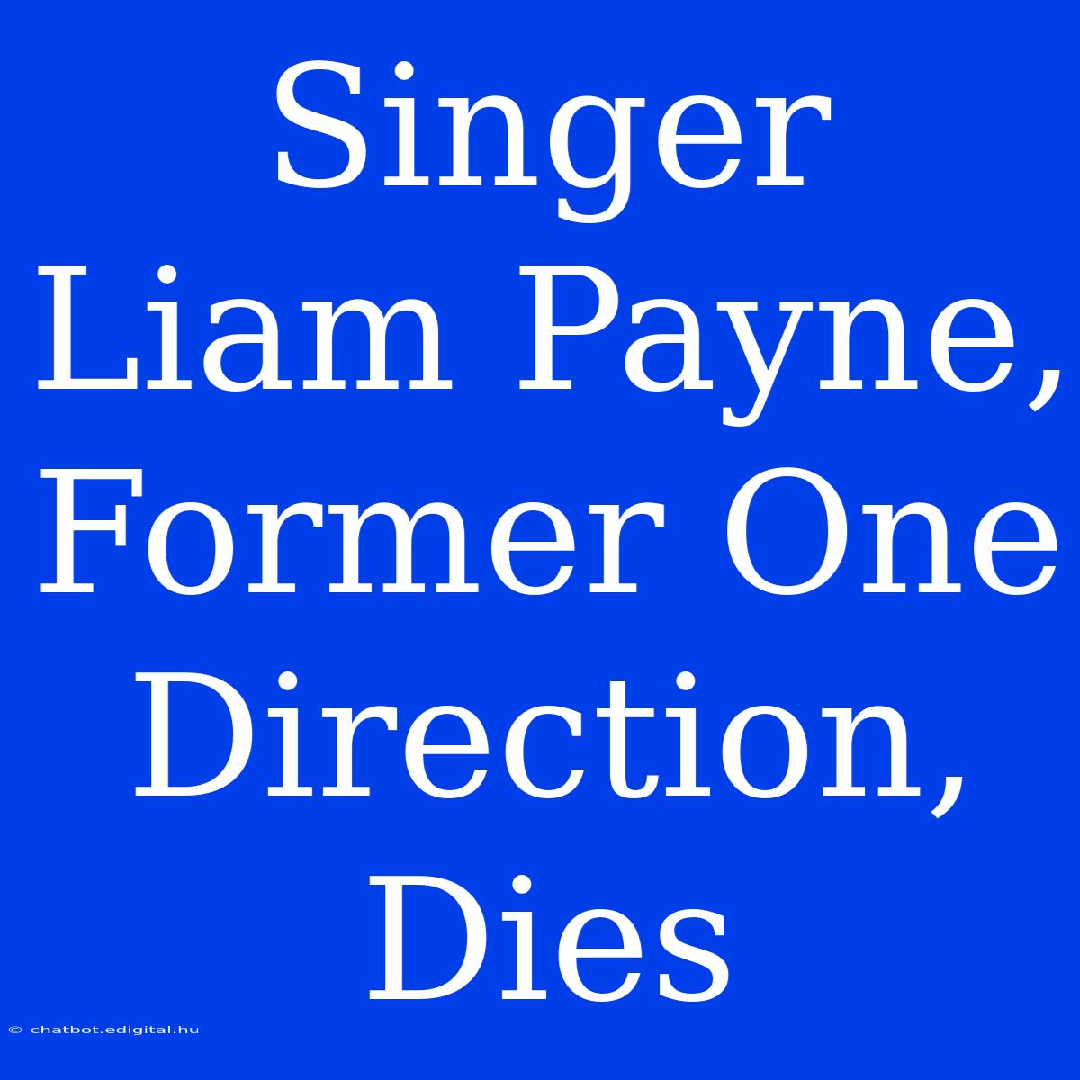 Singer Liam Payne, Former One Direction, Dies 