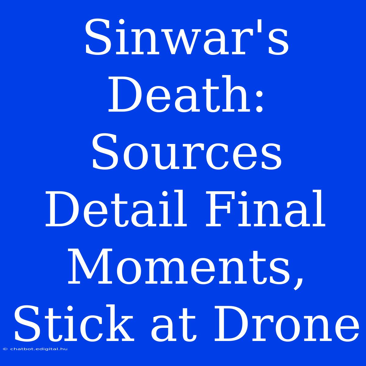 Sinwar's Death: Sources Detail Final Moments, Stick At Drone 