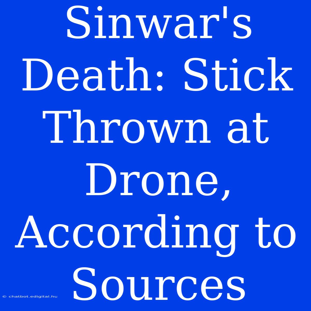 Sinwar's Death: Stick Thrown At Drone, According To Sources