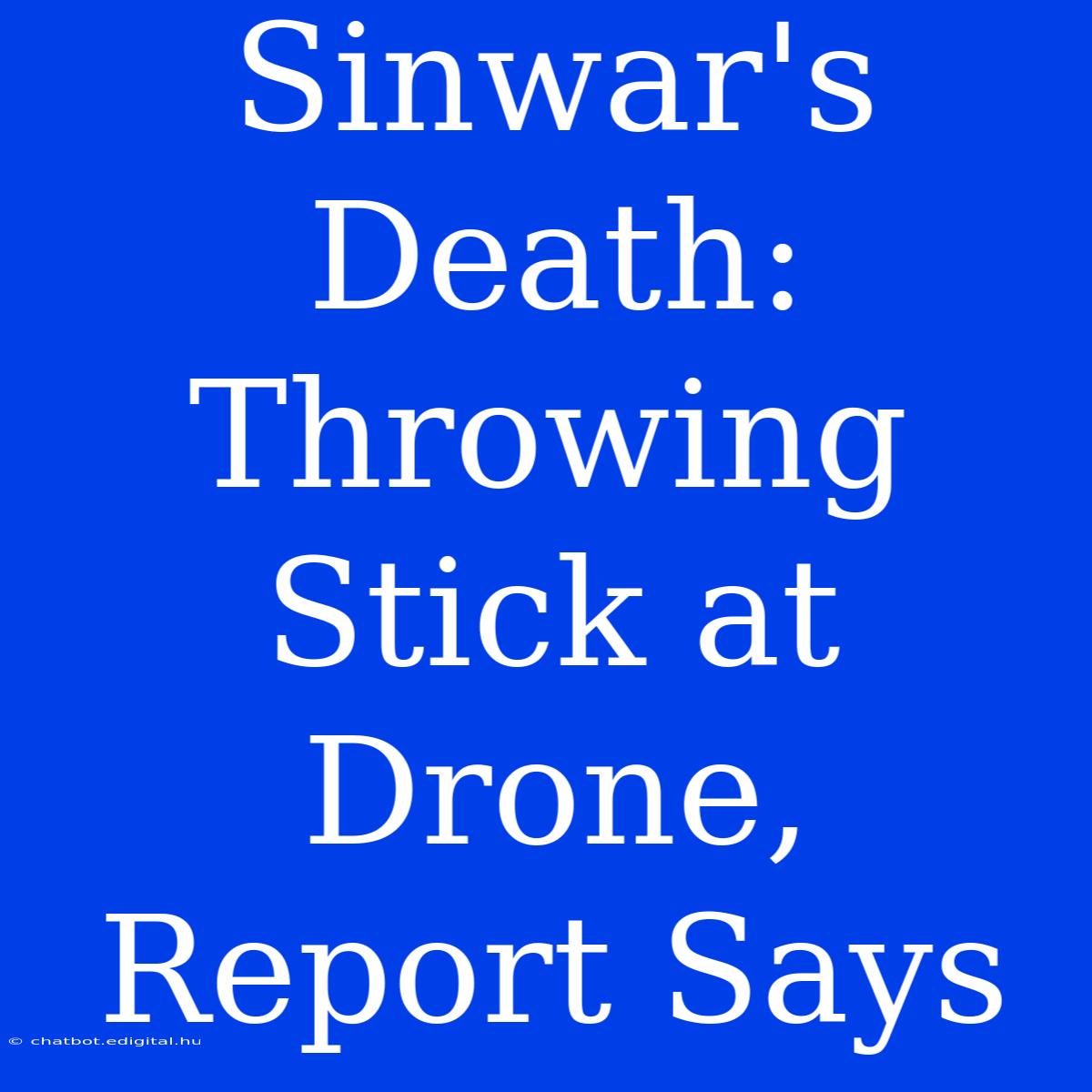 Sinwar's Death: Throwing Stick At Drone, Report Says