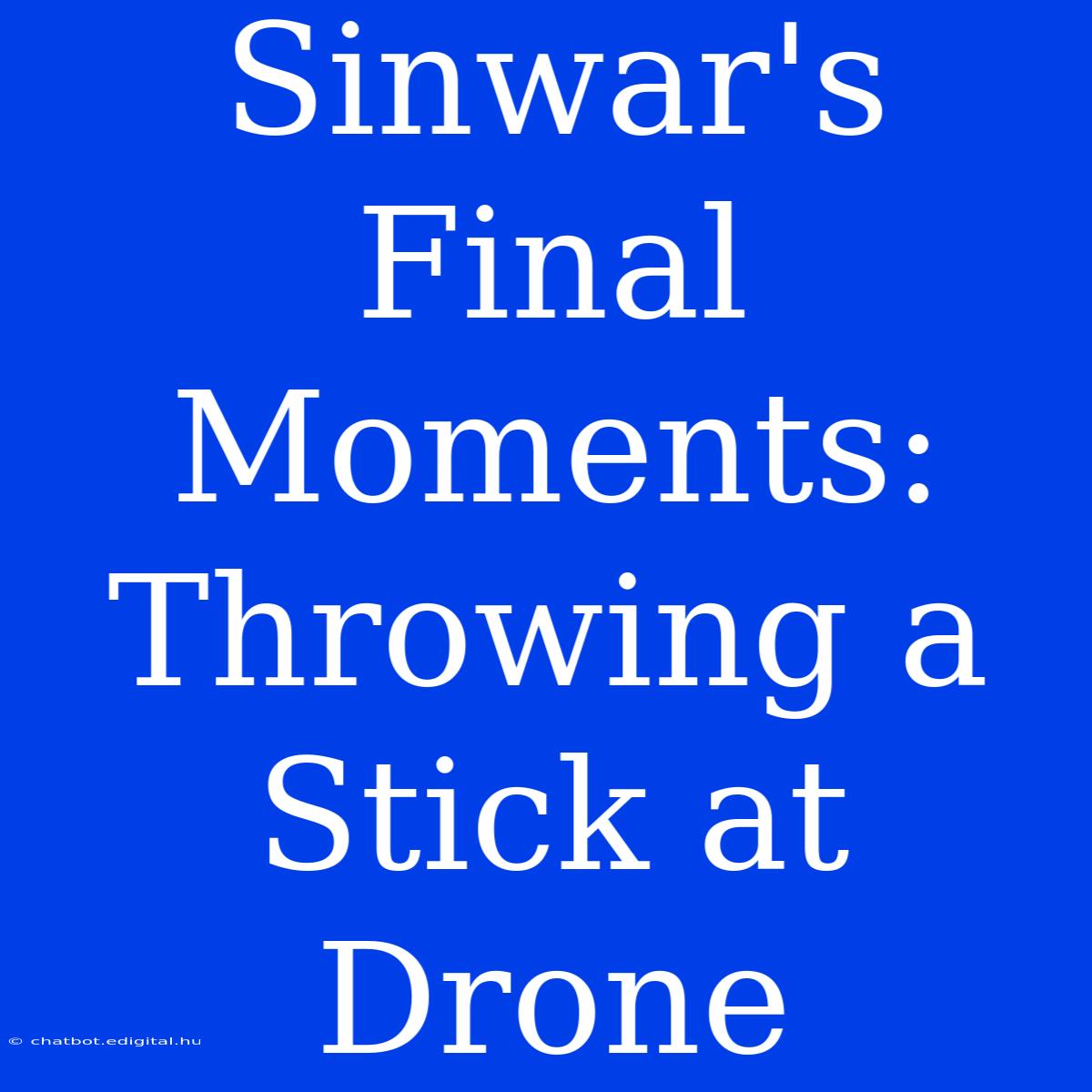 Sinwar's Final Moments: Throwing A Stick At Drone