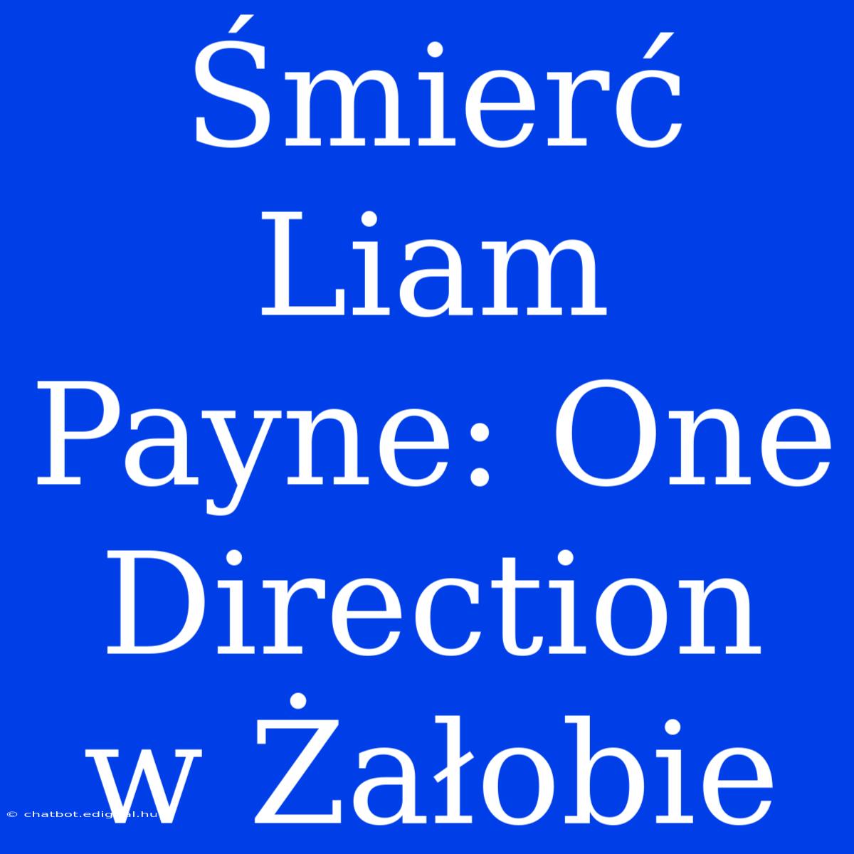 Śmierć Liam Payne: One Direction W Żałobie