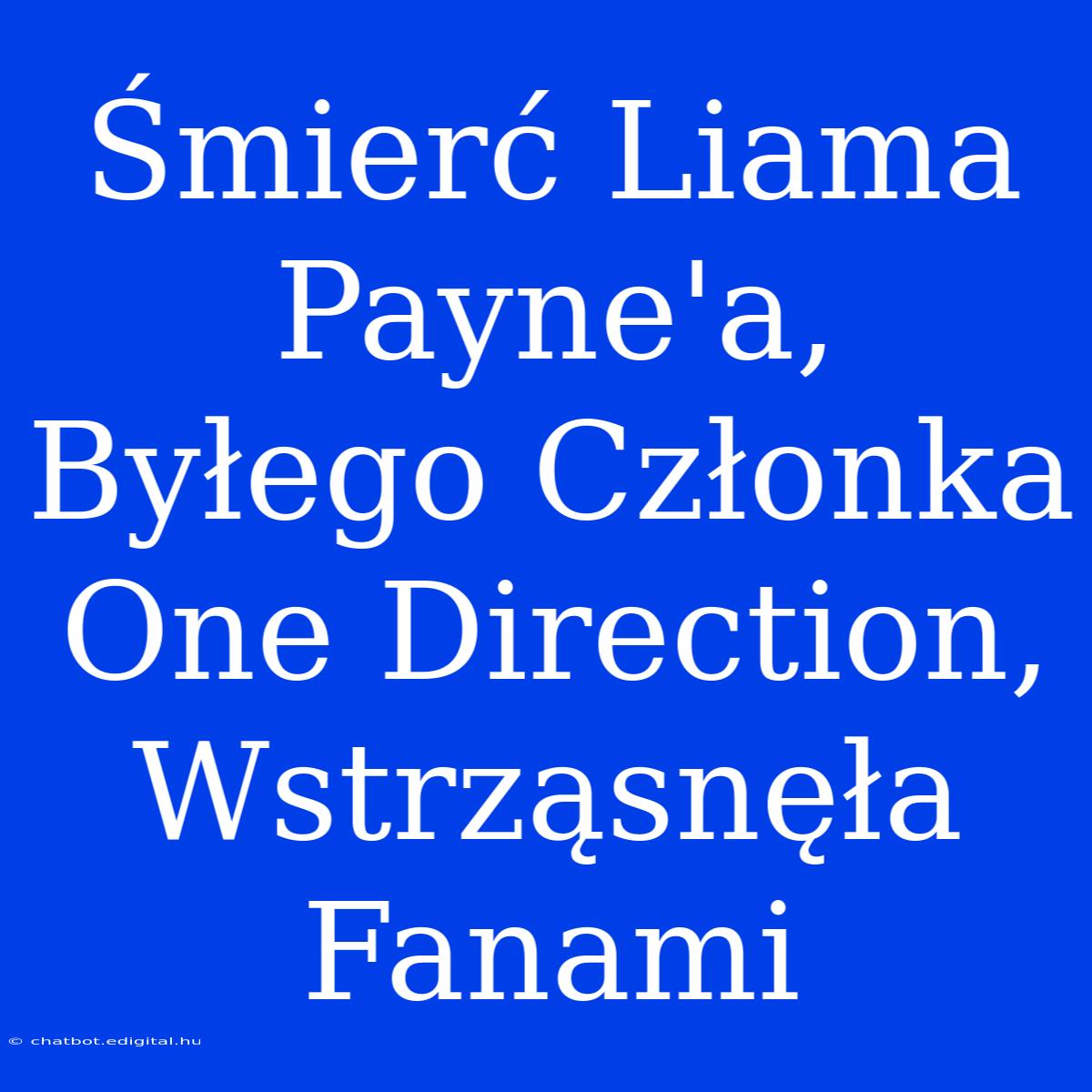 Śmierć Liama Payne'a, Byłego Członka One Direction, Wstrząsnęła Fanami 