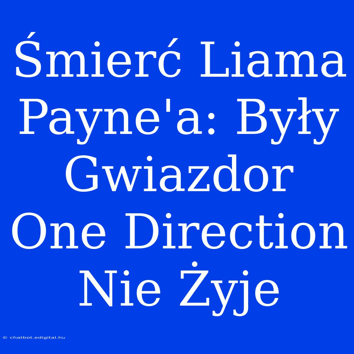 Śmierć Liama Payne'a: Były Gwiazdor One Direction Nie Żyje