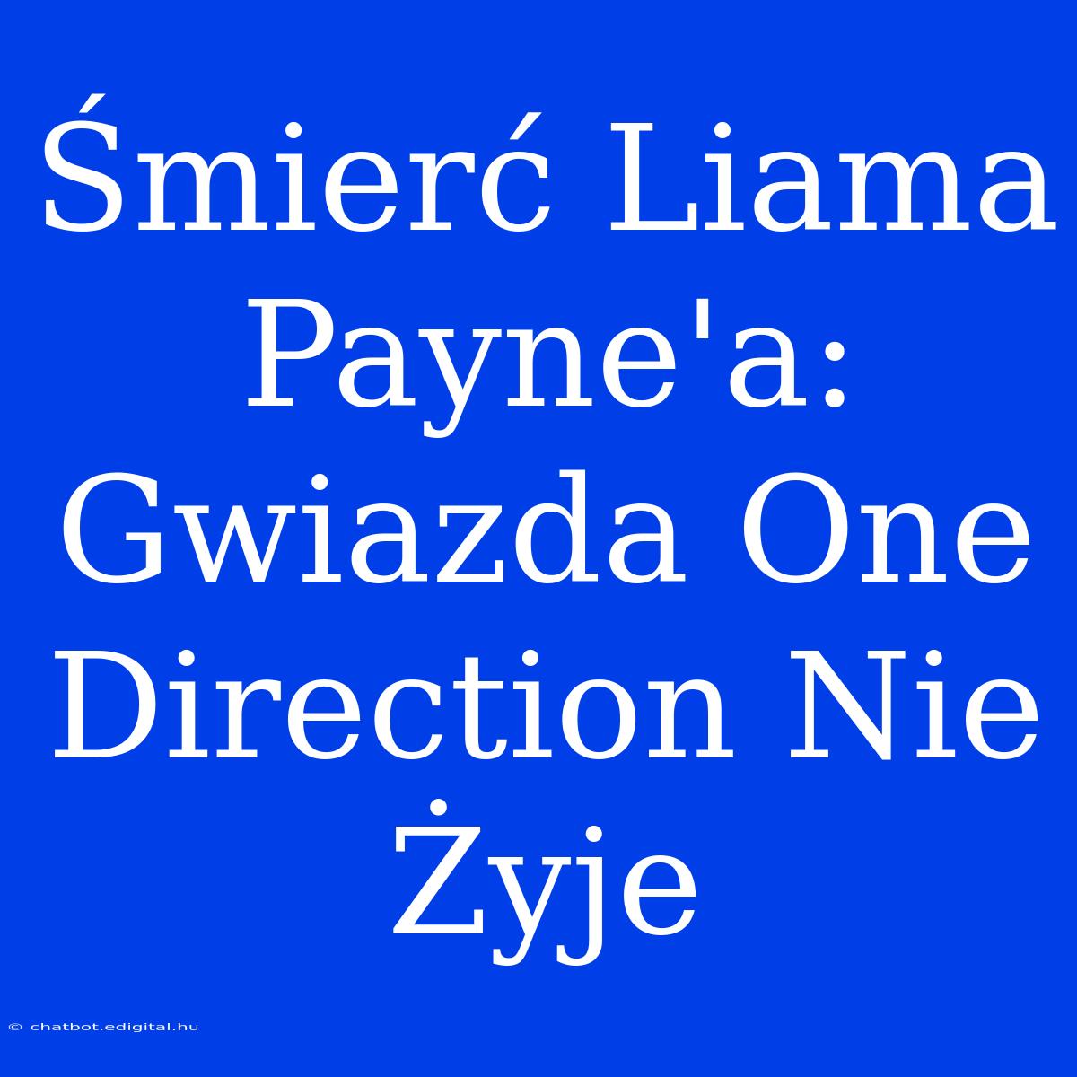 Śmierć Liama Payne'a: Gwiazda One Direction Nie Żyje