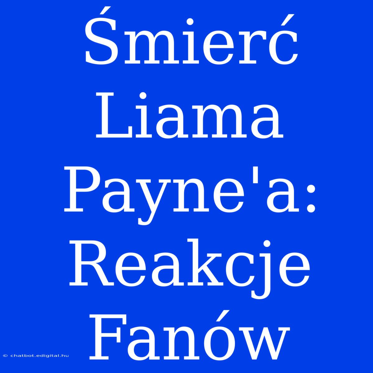 Śmierć Liama Payne'a: Reakcje Fanów