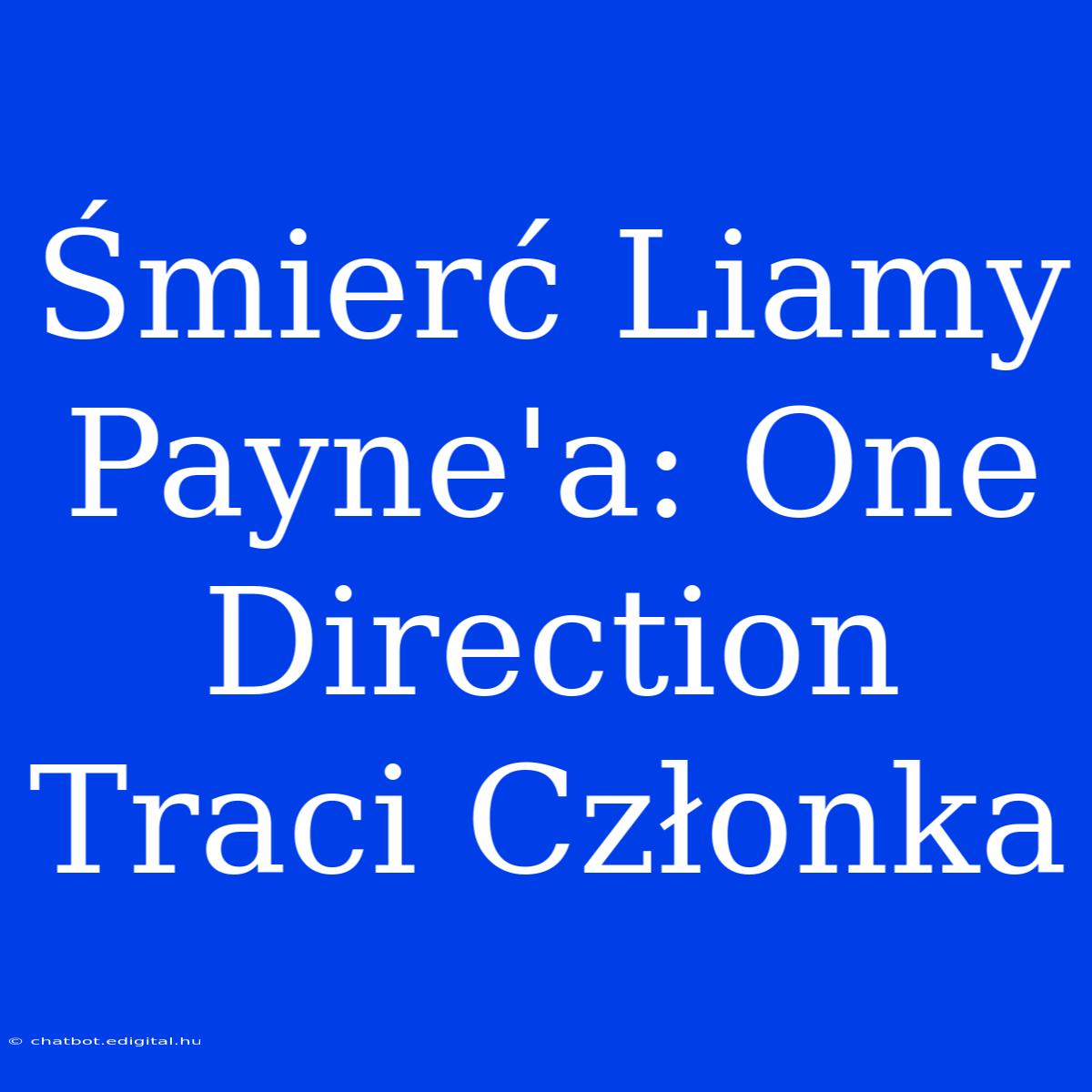 Śmierć Liamy Payne'a: One Direction Traci Członka