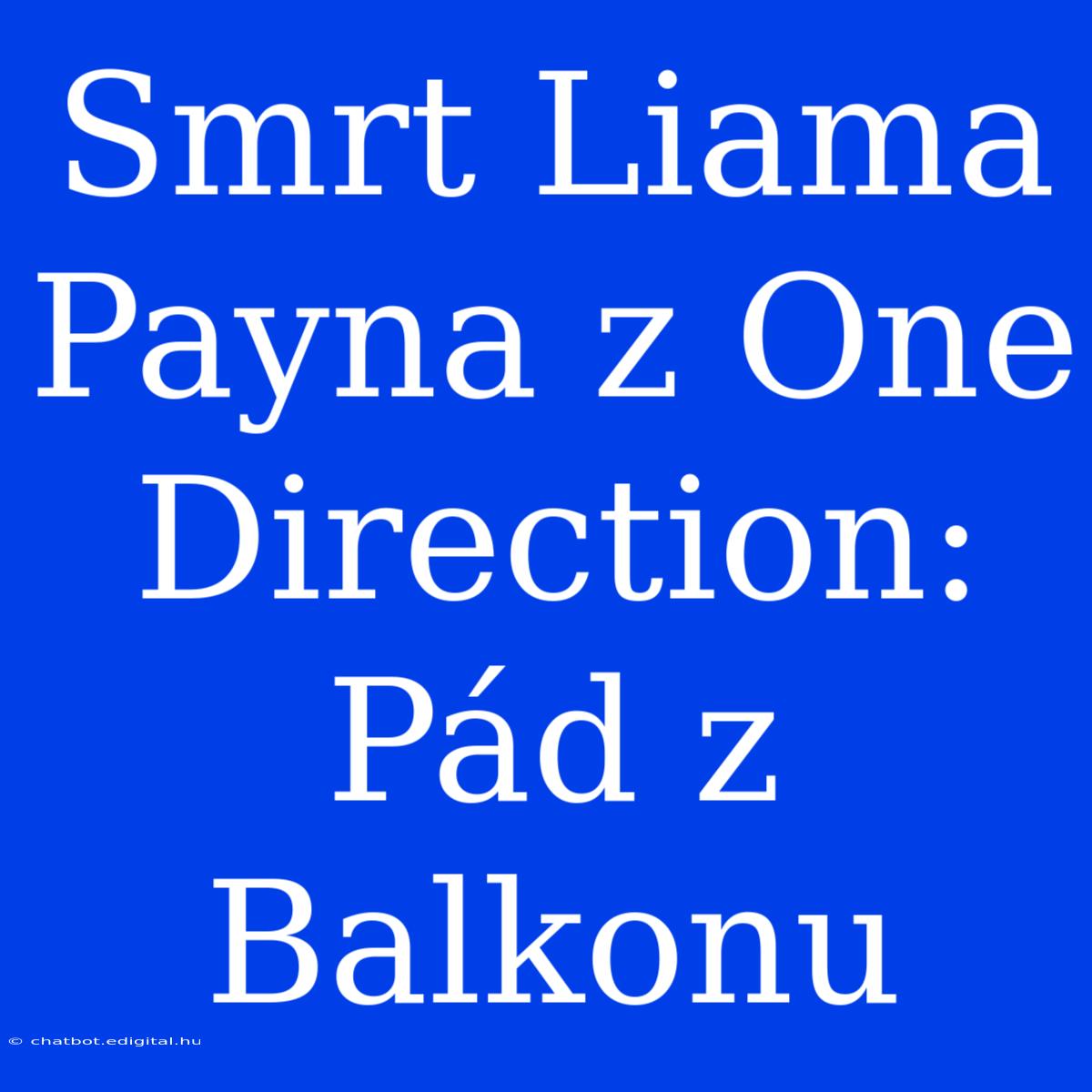 Smrt Liama Payna Z One Direction: Pád Z Balkonu