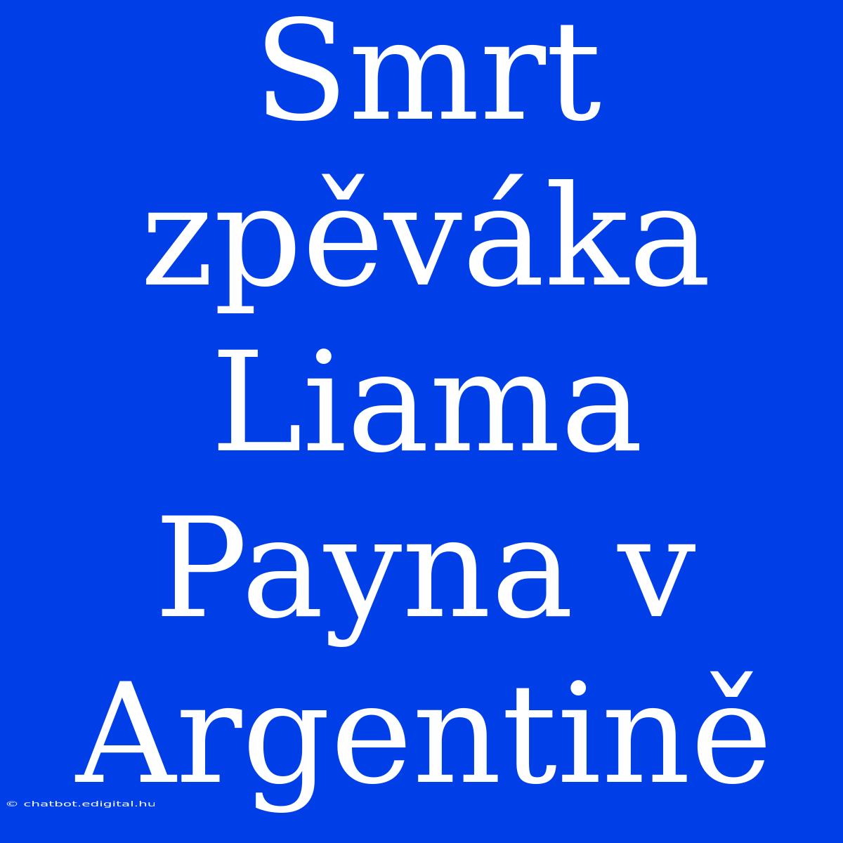 Smrt Zpěváka Liama Payna V Argentině