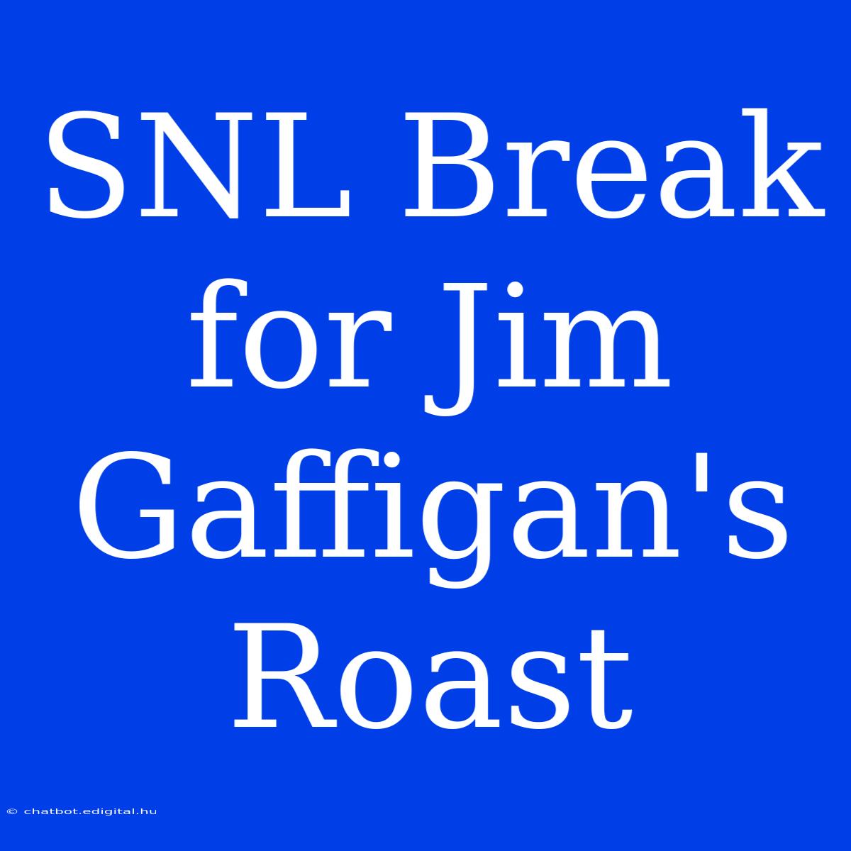 SNL Break For Jim Gaffigan's Roast 