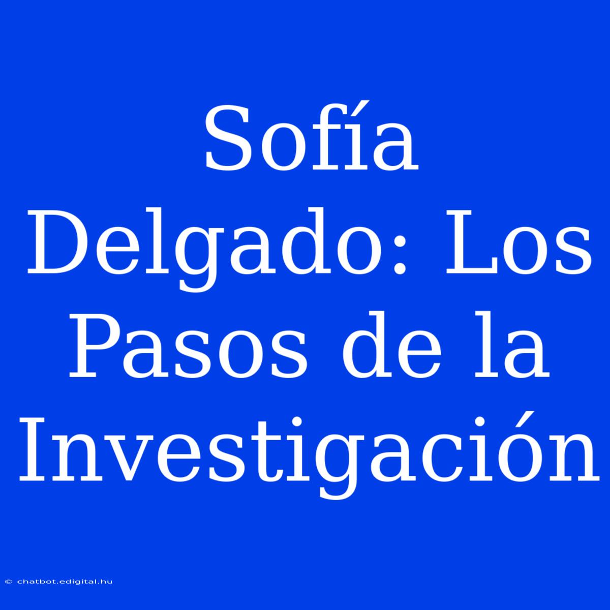 Sofía Delgado: Los Pasos De La Investigación