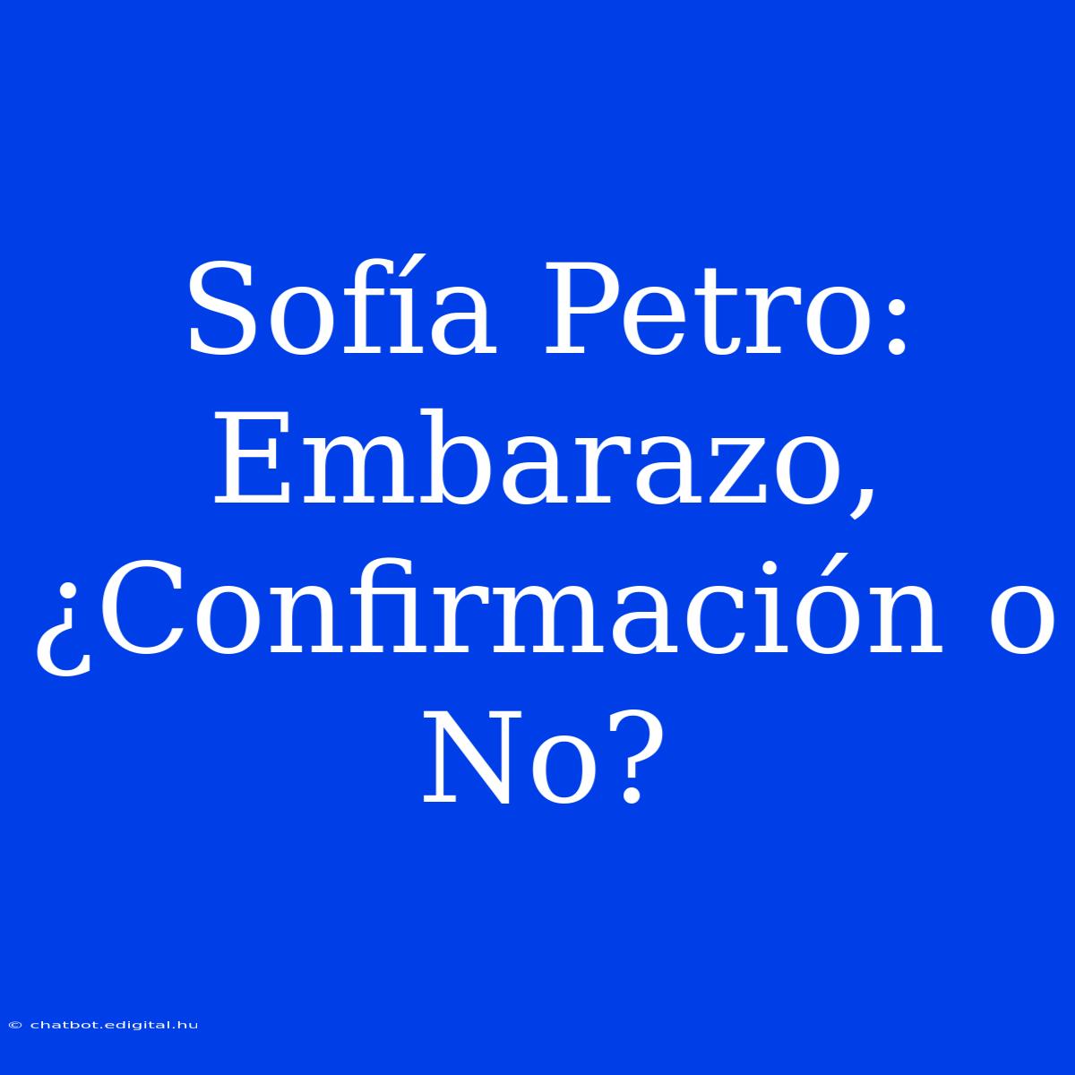 Sofía Petro: Embarazo, ¿Confirmación O No?